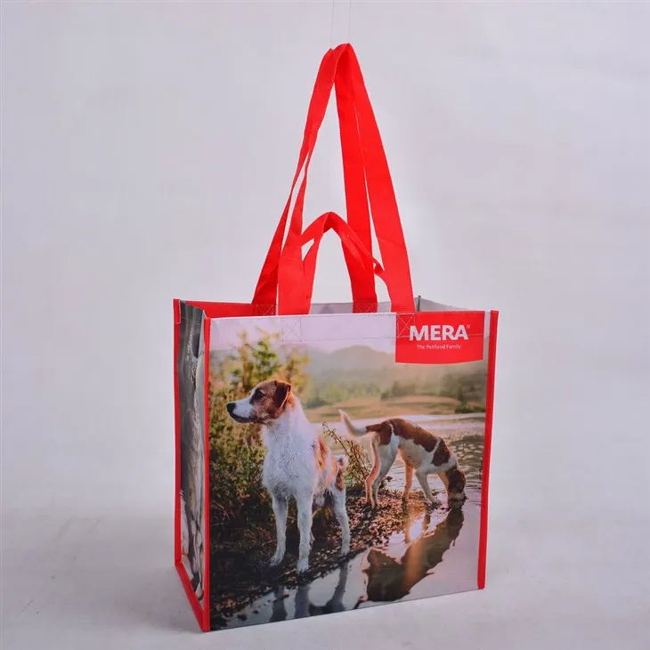 Godīgas tirdzniecības pārstrādātas iepirkumu somas