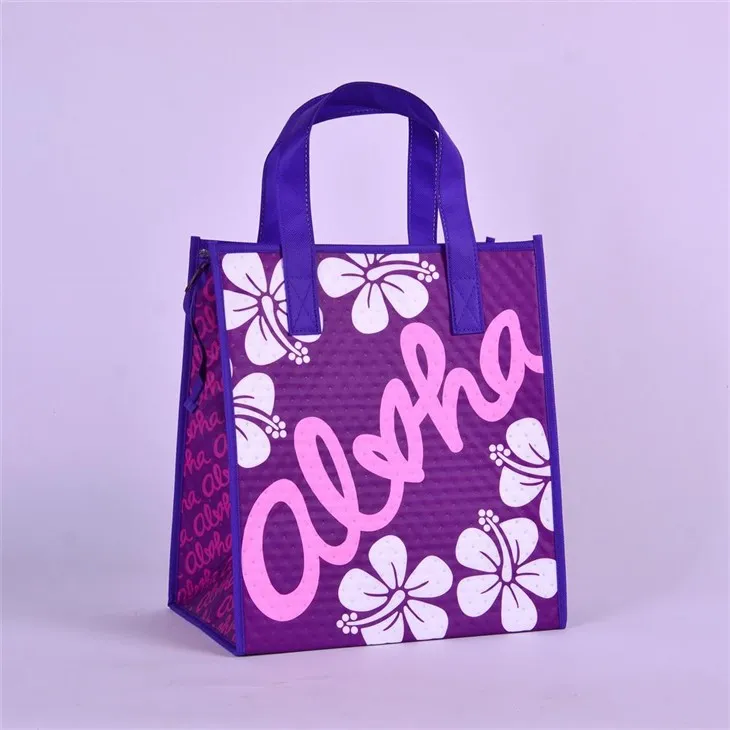 Izolēta Tote Lunch Bag